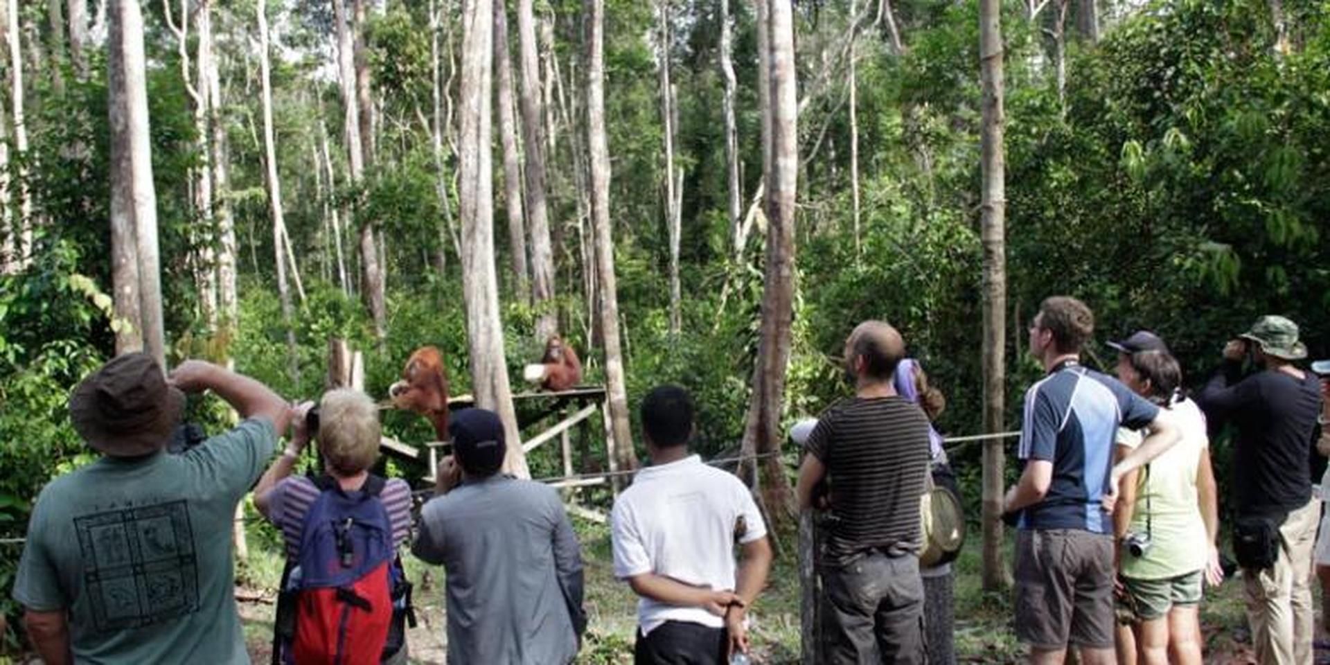 wisata Kalimantan Tengah